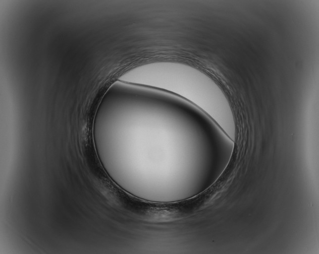 X0000086720597200704130729