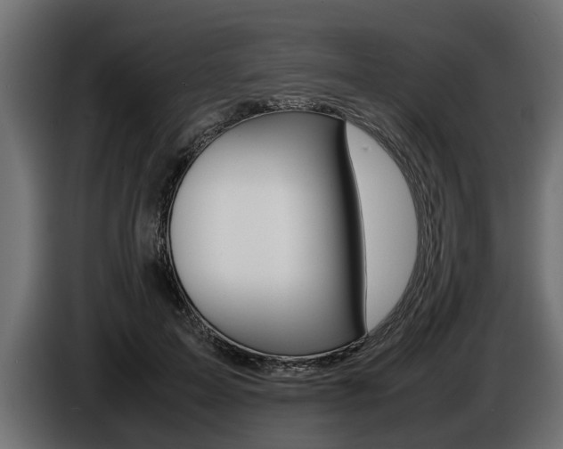 X0000086720599200704130729