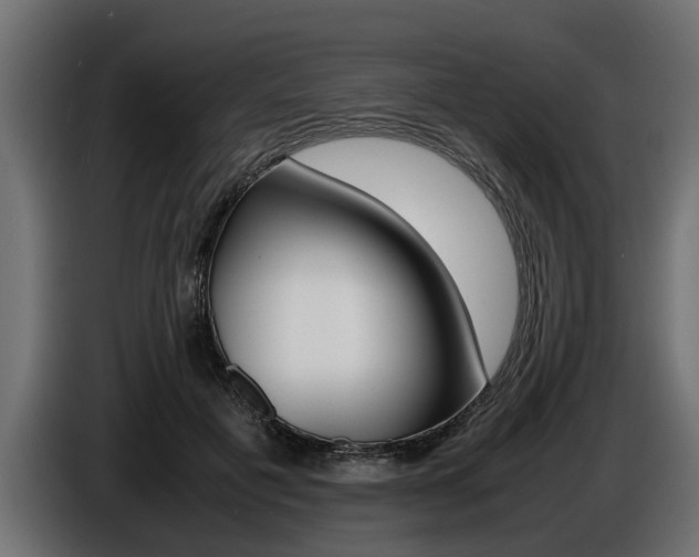 X0000086720601200704130729