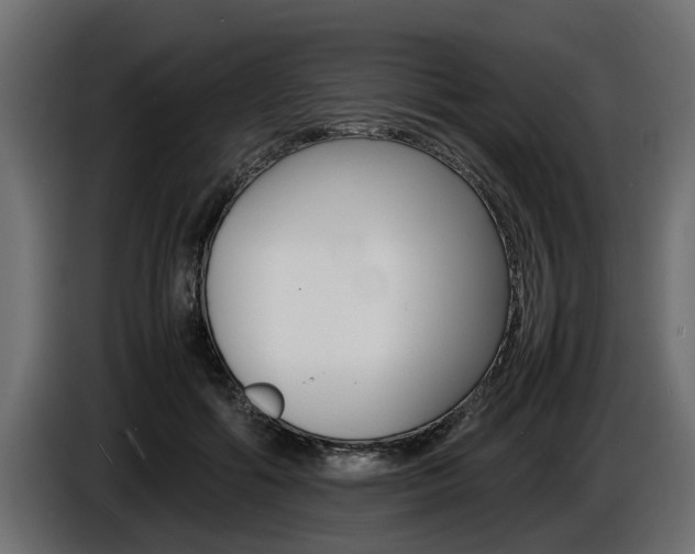 X0000086720602200704130729