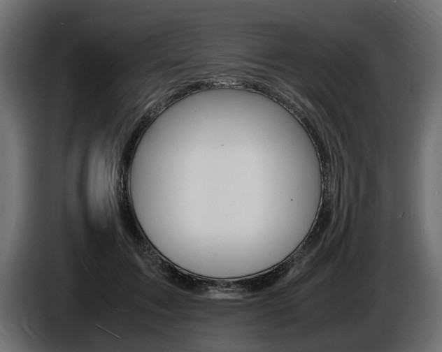 X0000086720603200704130729