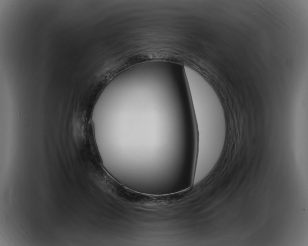 X0000086720604200704130729