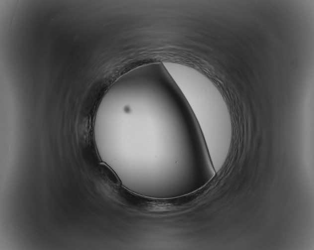 X0000086720605200704130729