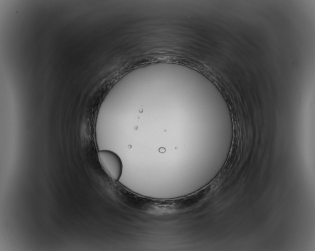 X0000086720606200704130729