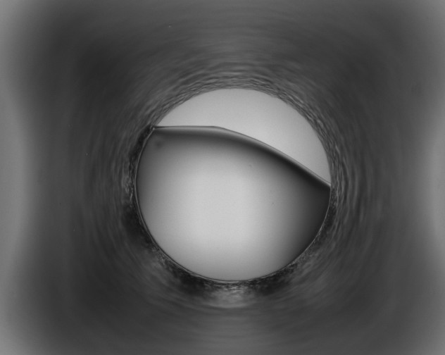 X0000086720609200704130729