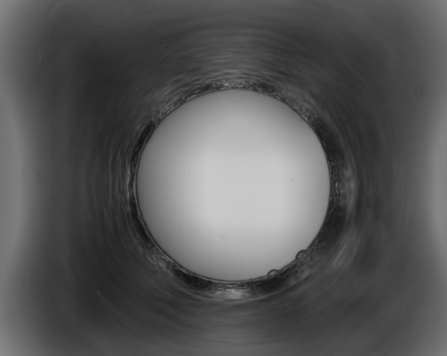 X0000086720610200704130729