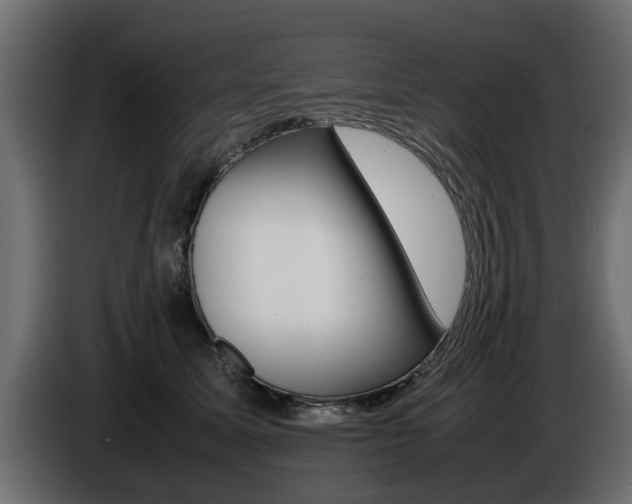 X0000086720611200704130729