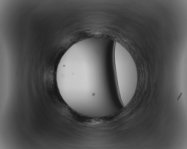 X0000086720612200704130729