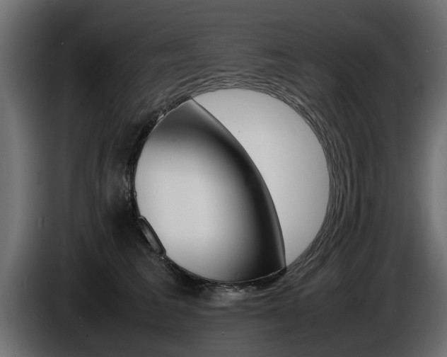 X0000086720613200704130729