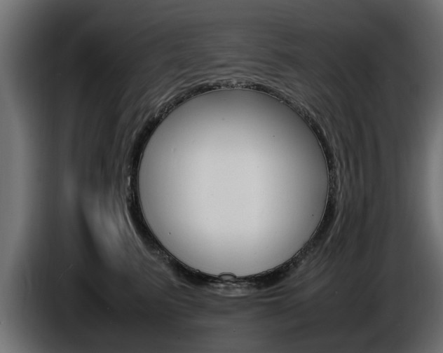 X0000086720615200704130729