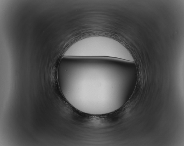 X0000086720616200704130729