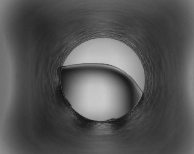 X0000086720617200704130729