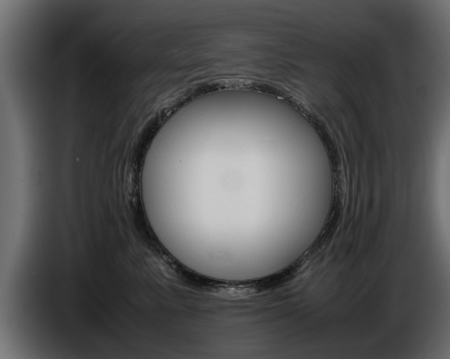 X0000086720619200704130729