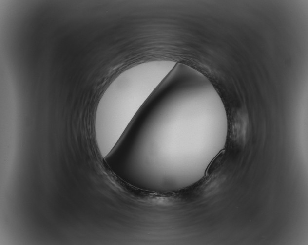 X0000086720620200704130729