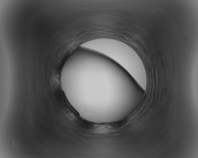 X0000086720621200704130729