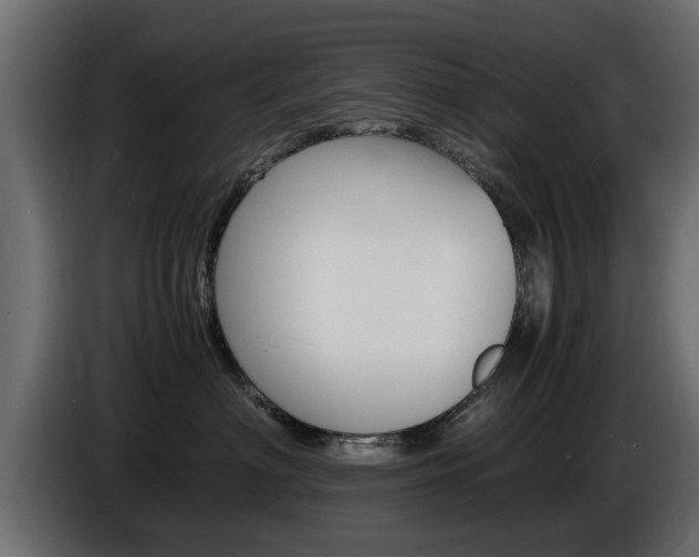 X0000086720622200704130729
