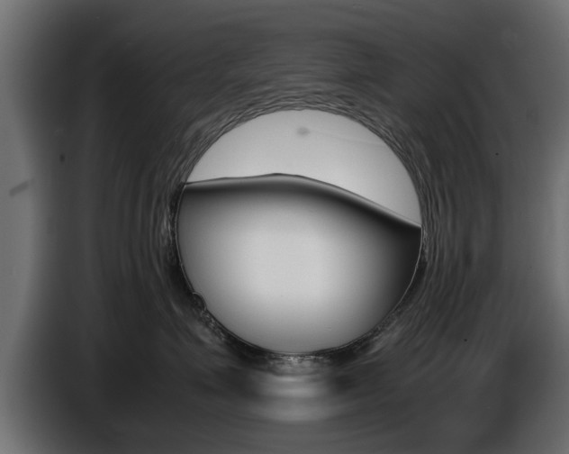 X0000086720623200704130729