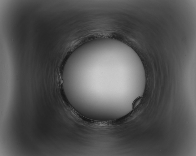 X0000086720624200704130729