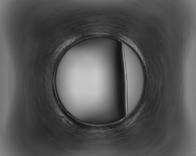 X0000086720625200704130728