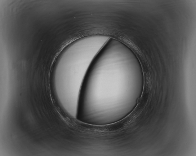 X0000086720626200704130728