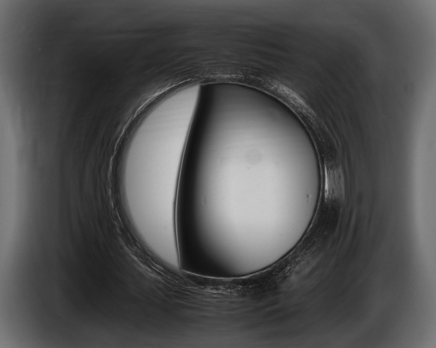 X0000086720627200704130728