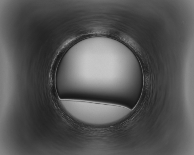 X0000086720628200704130729