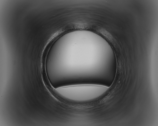 X0000086720630200704130729