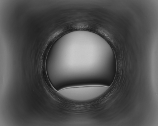 X0000086720631200704130729