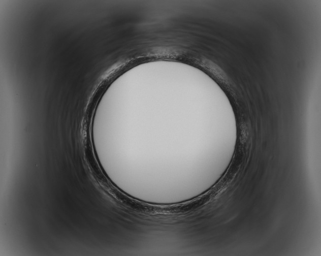 X0000086720632200704130729