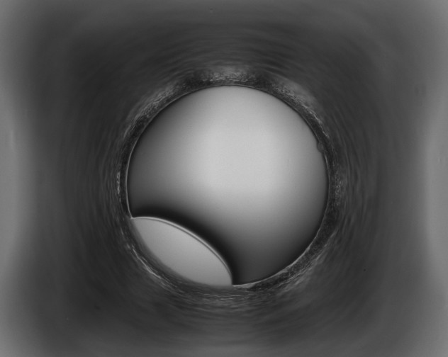 X0000086720633200704130729