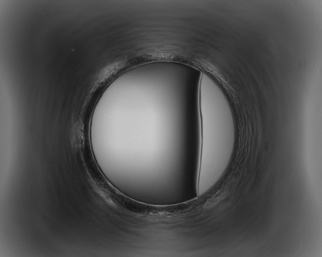 X0000086720634200704130729