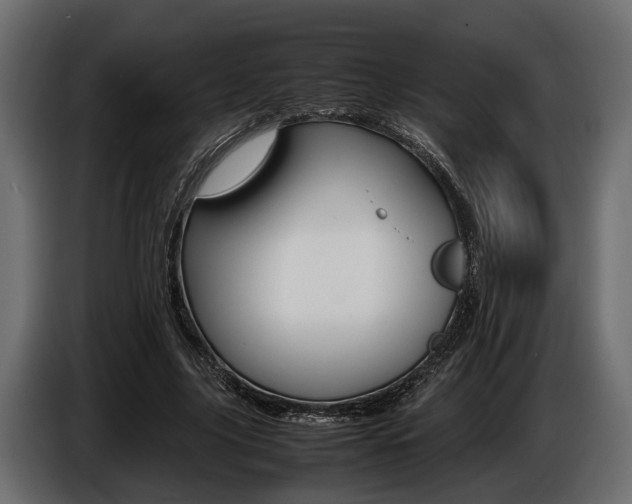 X0000086720635200704130729