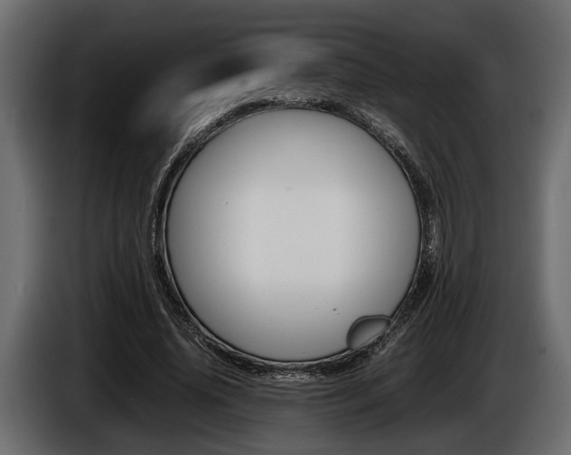 X0000086720636200704130729