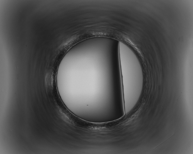 X0000086720637200704130729