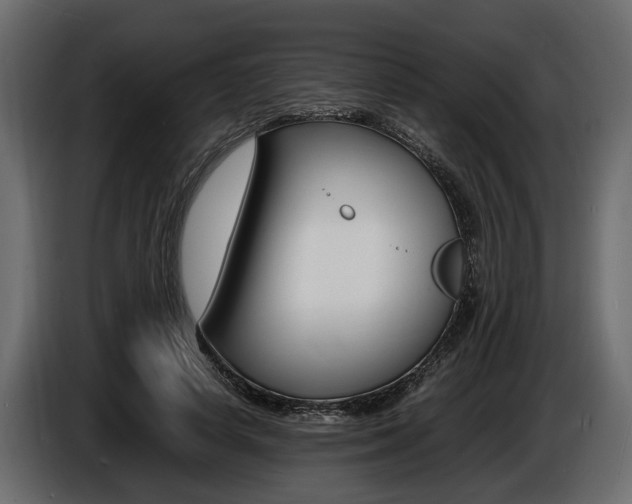 X0000086720642200704130729