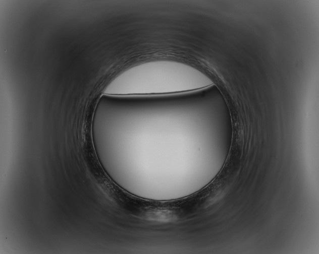X0000086720643200704130729