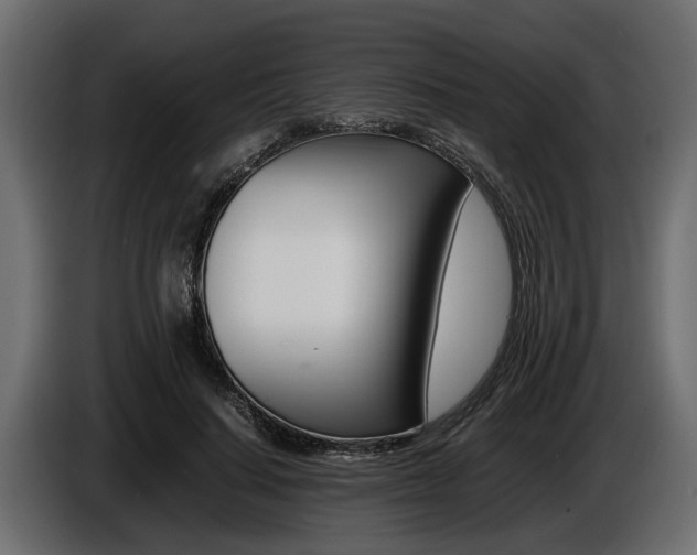 X0000086720644200704130729