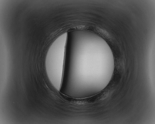 X0000086720645200704130729