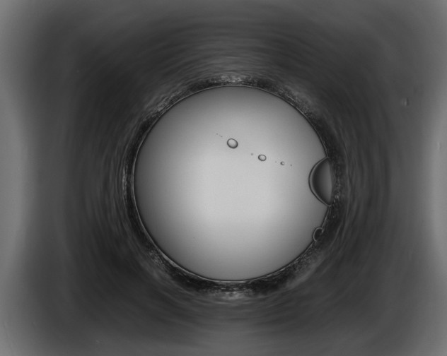 X0000086720646200704130729