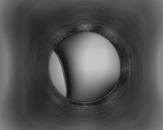 X0000086720647200704130729