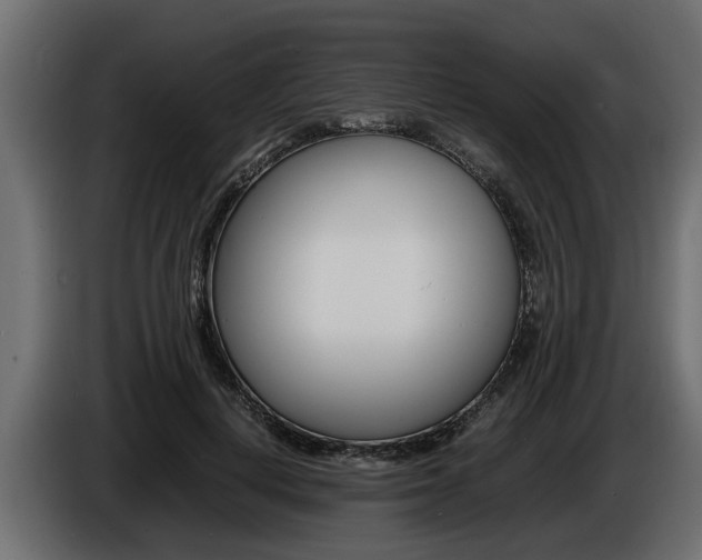 X0000086720648200704130729