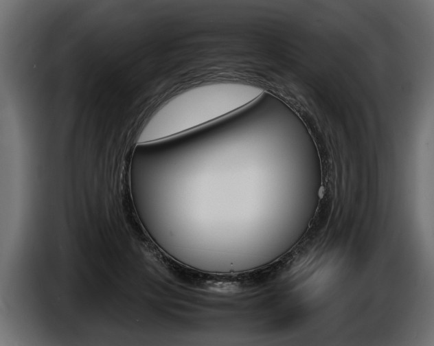X0000086720649200704130729
