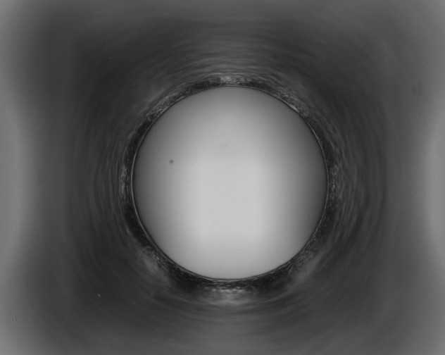 X0000086720650200704130729