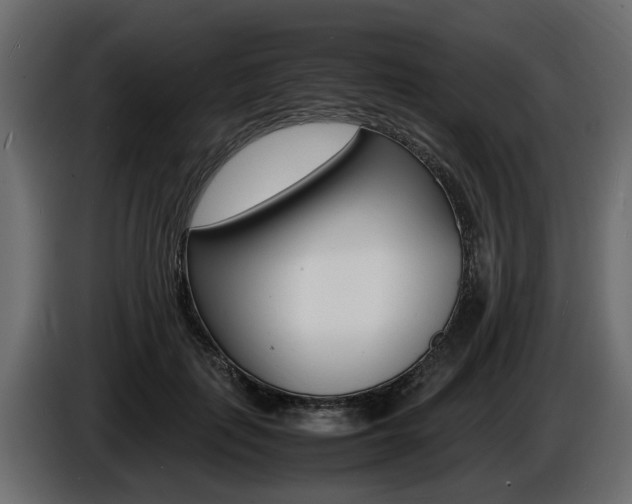 X0000086720651200704130729