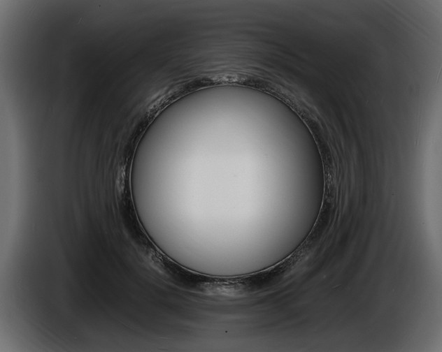 X0000086720652200704130729
