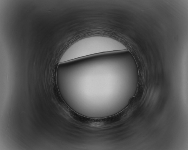 X0000086720653200704130729