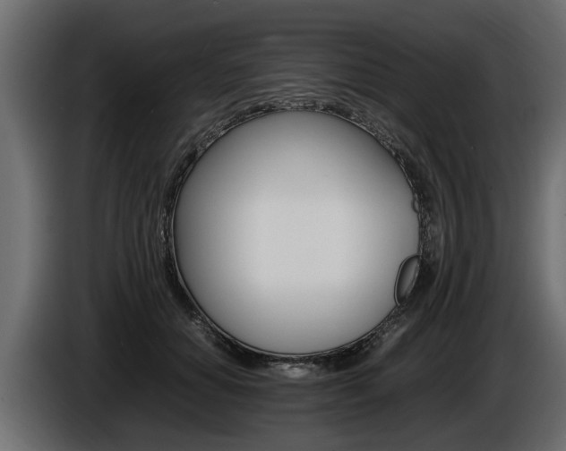 X0000086720654200704130729