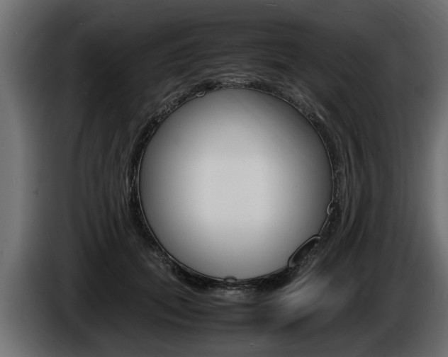X0000086720655200704130729