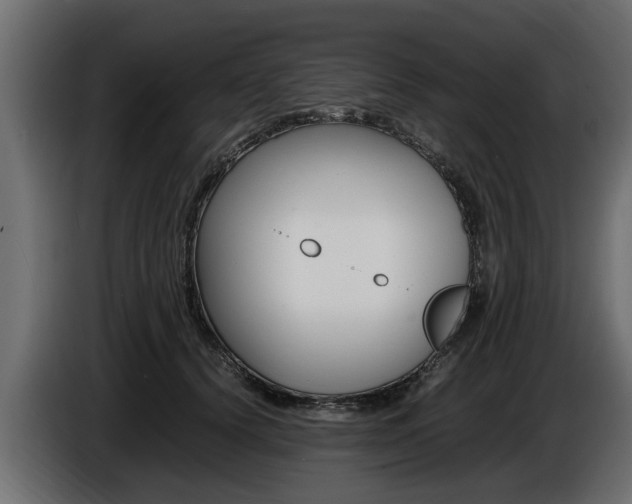 X0000086720656200704130729