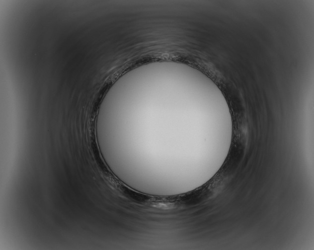 X0000086720658200704130729